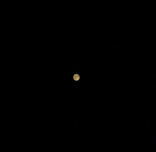 Supermoon 05.12.2025🌕